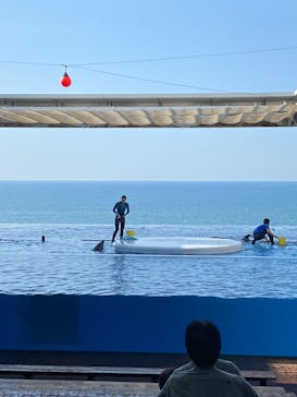 上越市立水族博物館 うみがたりに投稿された画像（2025/8/23）
