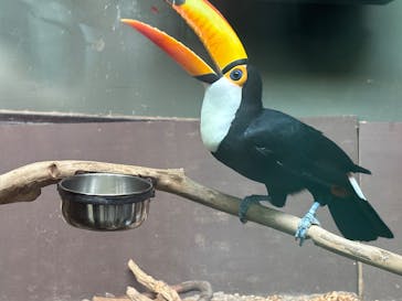 カワスイ 川崎⽔族館に投稿された画像（2025/8/23）