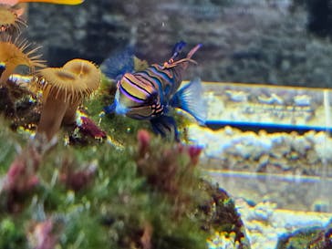 京都水族館に投稿された画像（2025/8/23）