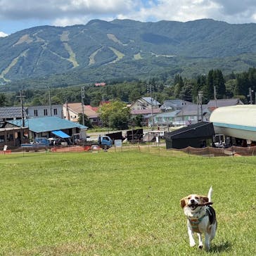 ひるがのピクニックガーデンに投稿された画像（2025/8/23）