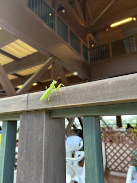東京サマーランドに投稿された画像（2025/8/23）
