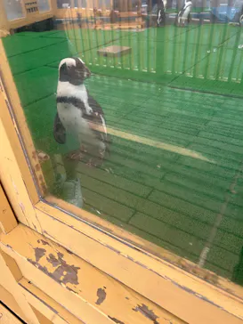 名古屋港水族館に投稿された画像（2025/8/23）