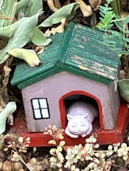 大阪府立花の文化園に投稿された画像（2025/8/23）