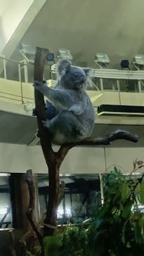 東京動物園協会_多摩動物公園に投稿された画像（2025/8/23）