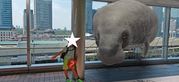 君も博士になれる展 in東京ミッドタウン八重洲に投稿された画像（2025/8/23）