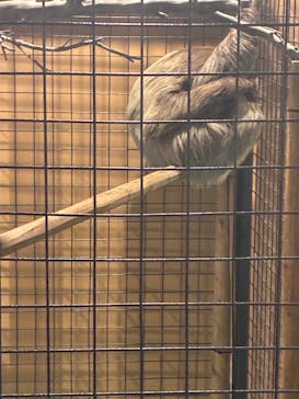 リトルモンスター展～「うゎっ」と「ぅわぁ～」のいきものたち～ @新潟県立自然科学館に投稿された画像（2025/8/23）