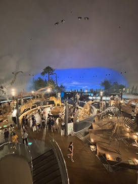 福井県立恐竜博物館に投稿された画像（2025/8/23）
