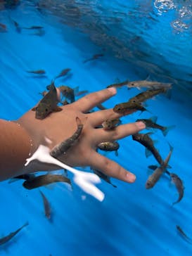 越前松島水族館に投稿された画像（2025/8/23）