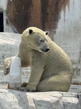 天王寺動物園に投稿された画像（2025/8/23）