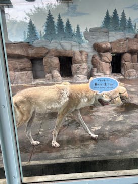 天王寺動物園に投稿された画像（2025/8/23）