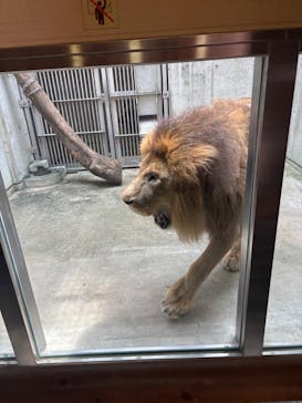 天王寺動物園に投稿された画像（2025/8/23）