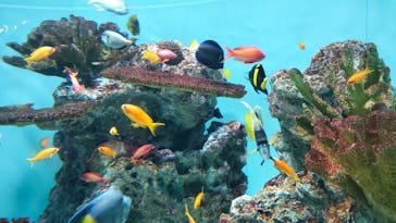 葛西臨海水族園に投稿された画像（2025/8/23）