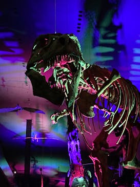 Ｂｏｎｅｓ２　ほねほね運動会　～はしる！とぶ！つかむ！～（いのちのたび博物館）に投稿された画像（2025/8/23）