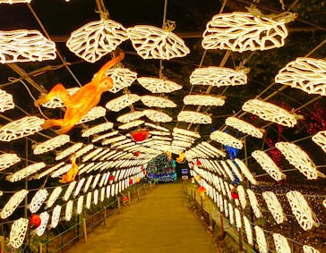 伊豆高原グランイルミに投稿された画像（2025/8/23）