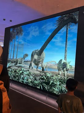 福井県立恐竜博物館に投稿された画像（2025/8/23）