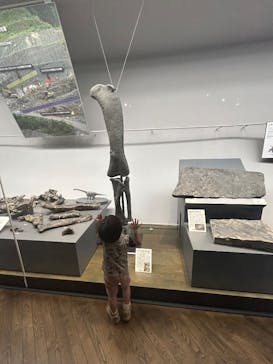 福井県立恐竜博物館に投稿された画像（2025/8/23）