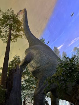 福井県立恐竜博物館に投稿された画像（2025/8/23）