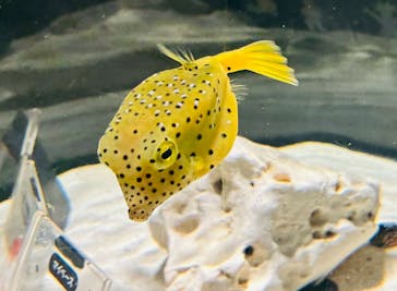 NIFREL（ニフレル）に投稿された画像（2025/8/23）