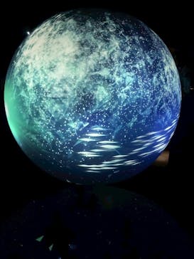 NIFREL（ニフレル）に投稿された画像（2025/8/23）