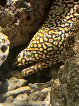 NIFREL（ニフレル）に投稿された画像（2025/8/23）