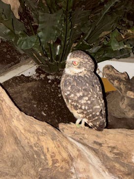 NIFREL（ニフレル）に投稿された画像（2025/8/23）