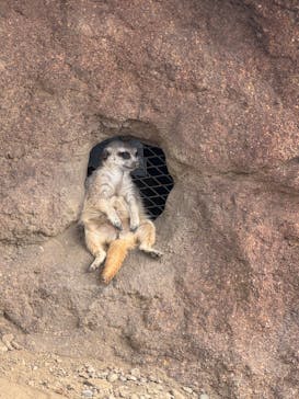 あらかわ遊園に投稿された画像（2025/8/23）