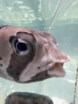 NIFREL（ニフレル）に投稿された画像（2025/8/23）