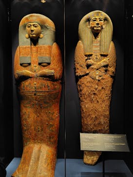 ACN ラムセス大王展 ファラオたちの黄金に投稿された画像（2025/8/23）