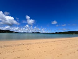 奄美シーランドに投稿された画像（2025/8/23）