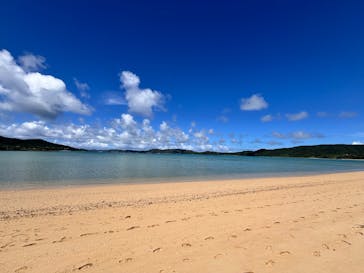 奄美シーランドに投稿された画像（2025/8/23）