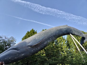 国立科学博物館に投稿された画像（2025/8/23）