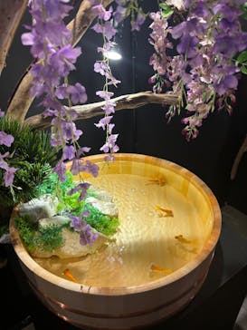 錦鯉・金魚アクアリウム in ときメッセに投稿された画像（2025/8/23）