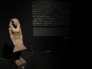 MYSTERY OF TUTANKHAMEN 体感型古代エジプト展に投稿された画像（2025/8/23）