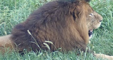 東京動物園協会_多摩動物公園に投稿された画像（2025/8/23）