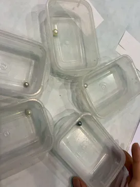 名古屋港水族館に投稿された画像（2025/8/23）