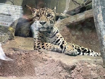 那須どうぶつ王国に投稿された画像（2025/8/23）