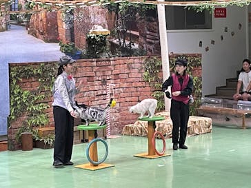 那須どうぶつ王国に投稿された画像（2025/8/23）