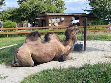 那須どうぶつ王国に投稿された画像（2025/8/23）