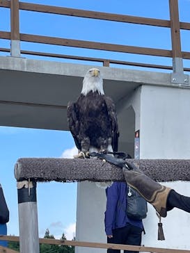 那須どうぶつ王国に投稿された画像（2025/8/23）