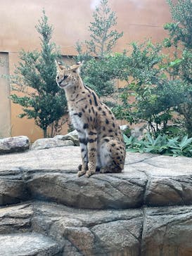 那須どうぶつ王国に投稿された画像（2025/8/23）