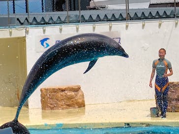 伊豆・三津シーパラダイスに投稿された画像（2025/8/23）