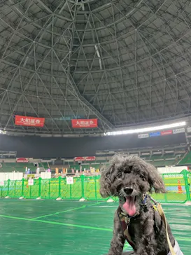 Pet博2025 福岡に投稿された画像（2025/8/23）