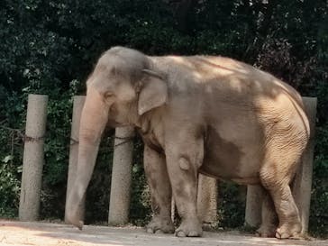 千葉市動物公園に投稿された画像（2025/8/23）