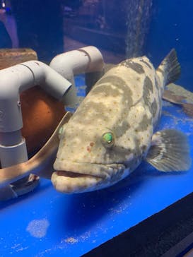 浜名湖体験学習施設ウォットに投稿された画像（2025/8/23）