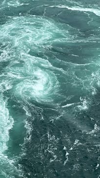 徳島県立 渦の道に投稿された画像（2025/8/23）