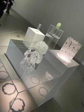 金沢21世紀美術館に投稿された画像（2025/8/23）