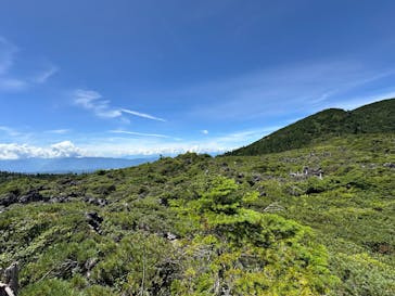 北八ヶ岳ロープウェイに投稿された画像（2025/8/23）