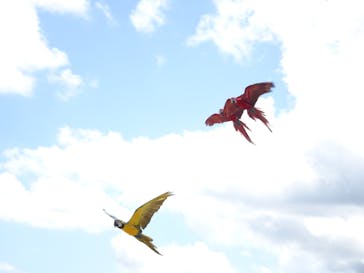 那須どうぶつ王国に投稿された画像（2025/8/24）