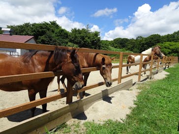 那須どうぶつ王国に投稿された画像（2025/8/24）