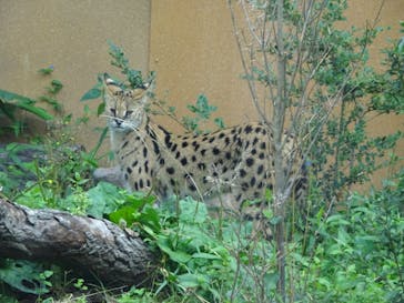 那須どうぶつ王国に投稿された画像（2025/8/24）